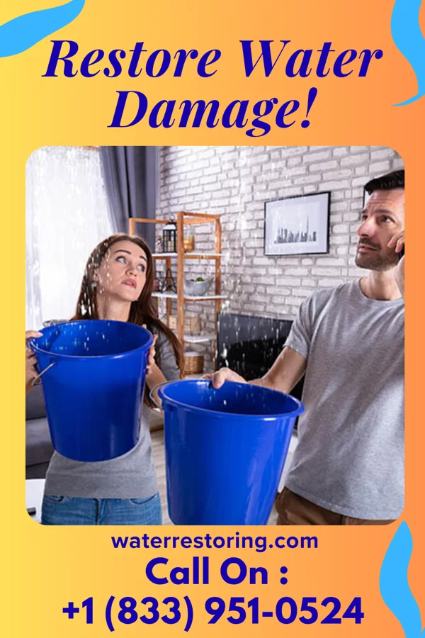 water restoration First Property Restoration Masters Venice