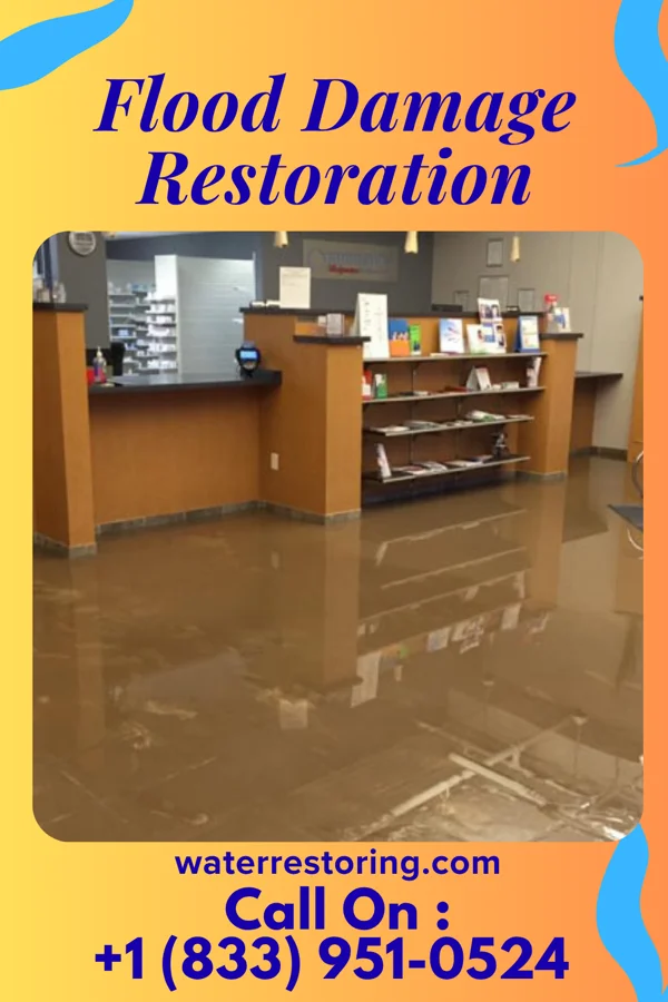 Flood Damage Restoration in Venice, FL