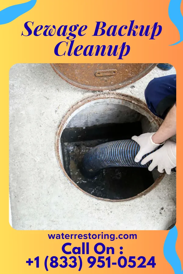 Sewage Backup Cleanup in Venice, FL