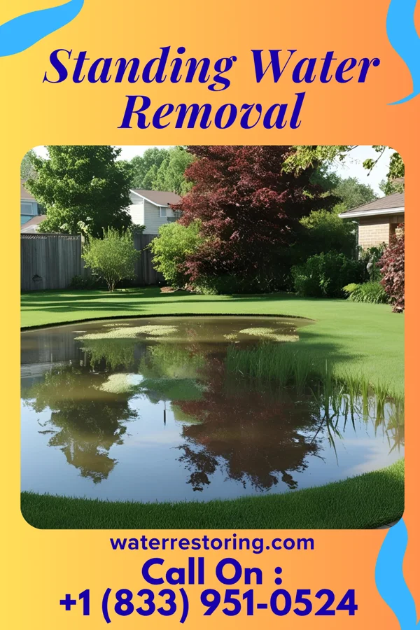Standing Water Removal in Venice, FL